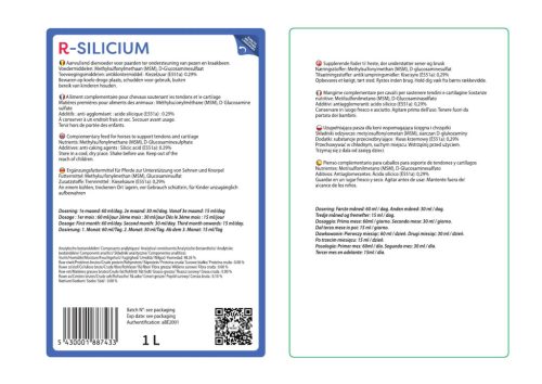 R-Silicium