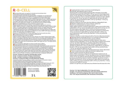 R-B Cell