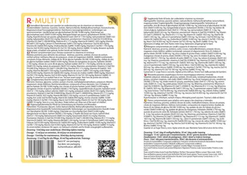 R-Multi Vit