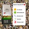 Gastro Muscle Fit