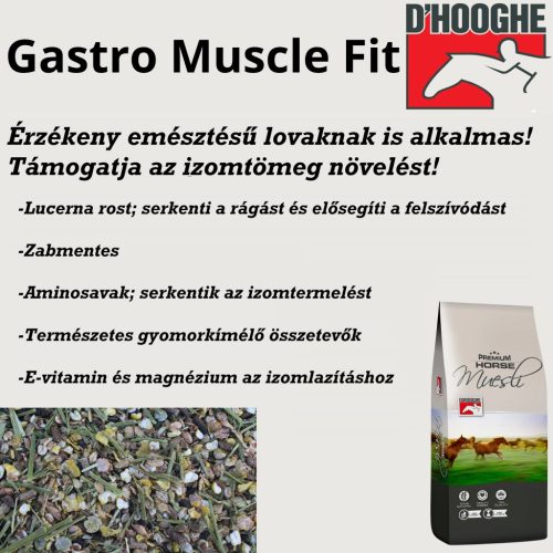 Gastro Muscle Fit