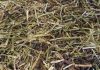 Vital Fibre Grainfree
