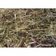 Vital Fibre Grainfree