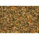 Apple Muesli