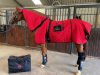 Equi Terra PEMF therapy set for horses