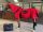 Equi Terra PEMF therapy set for horses