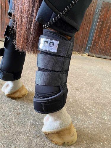 Equi Terra PEMF therapy set for horses